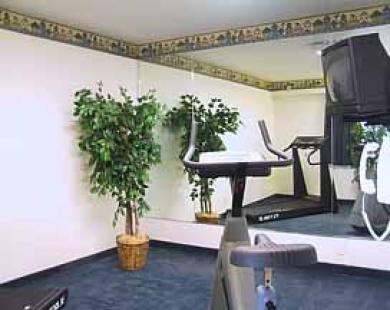 San Mateo Sfo Airport Hotel Удобства фото